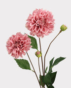 Real Touch Moisturizing Faux Dahlia Flower - 22.8"