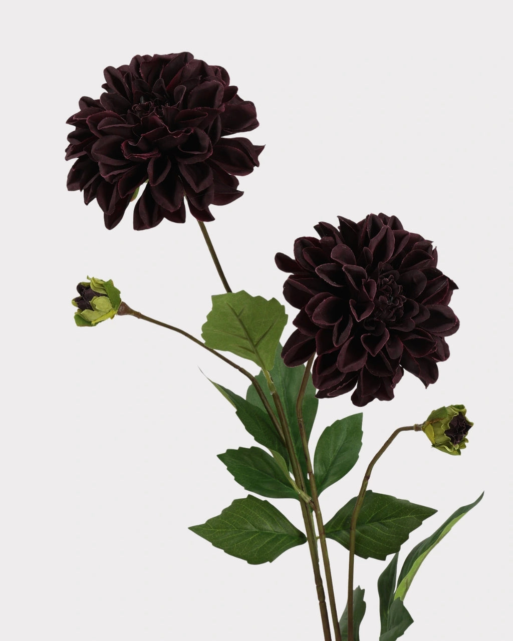 Real Touch Moisturizing Faux Dahlia Flower - 22.8"