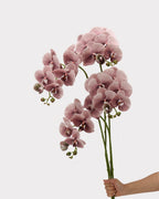 Real Touch Phalaenopsis Orchid Faux Flower - 37.4"