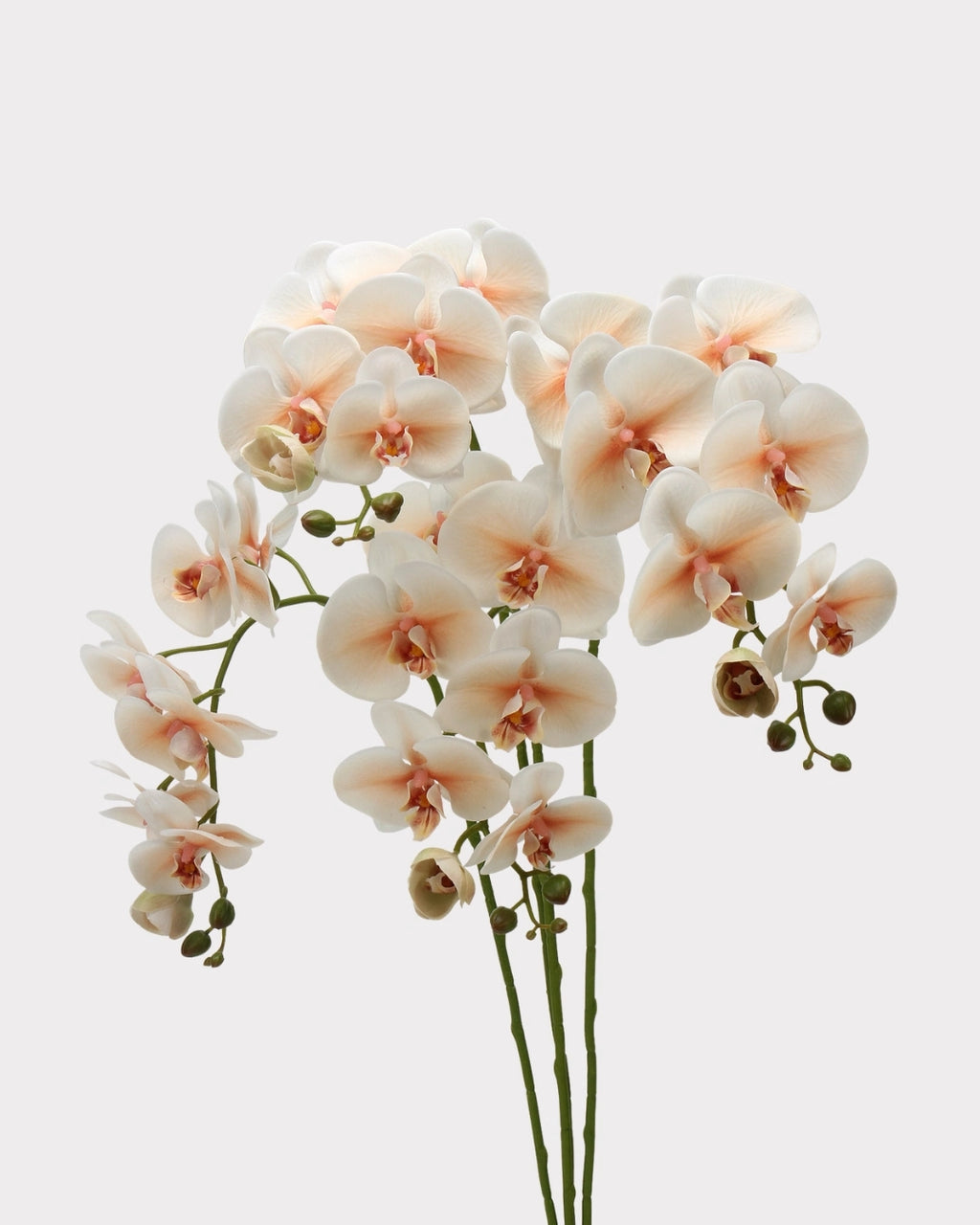 Real Touch Phalaenopsis Orchid Faux Flower - 37.4"
