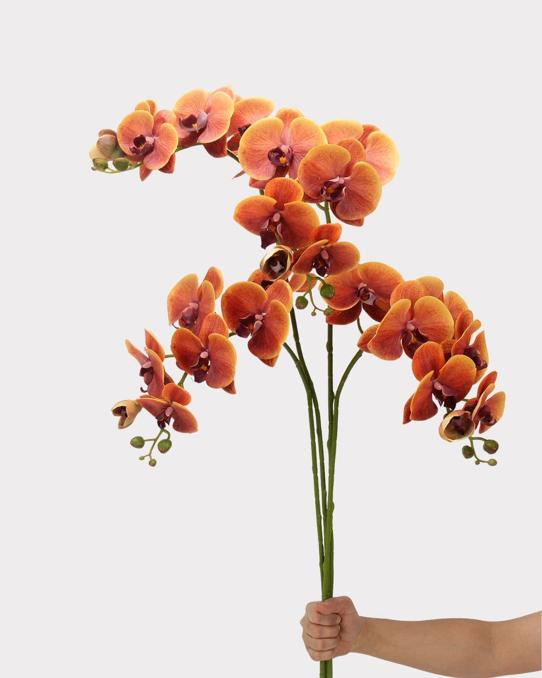 Real Touch Phalaenopsis Orchid Faux Flower - 37.4"