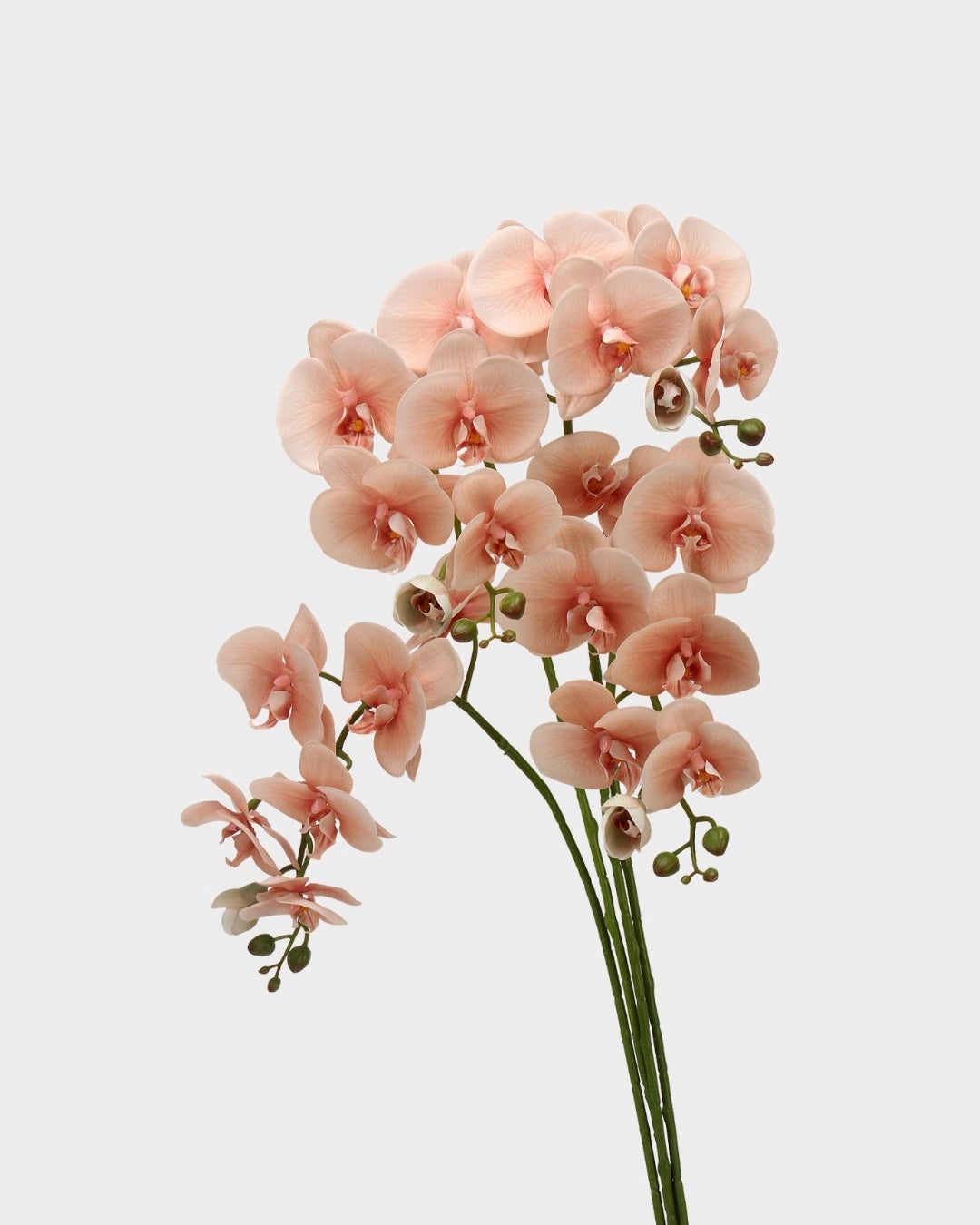 Real Touch Phalaenopsis Orchid Faux Flower - 37.4"
