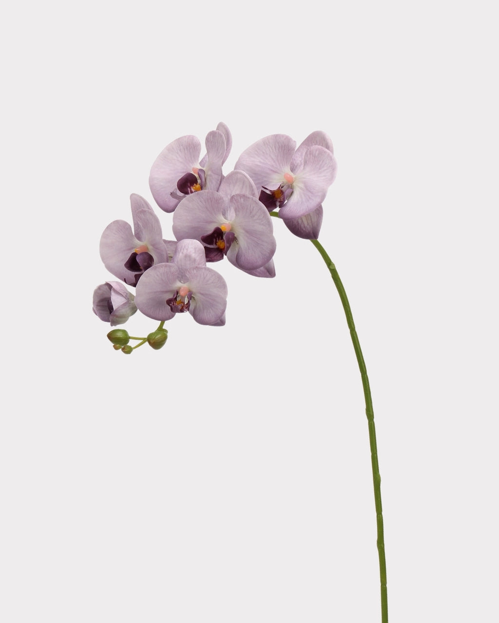Real Touch Phalaenopsis Orchid Faux Flower - 37.4"