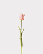 Soft-Touch Single Tulip Faux Flower - 18.1"