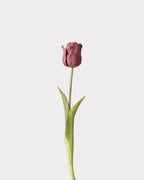Soft-Touch Single Tulip Faux Flower - 18.1"