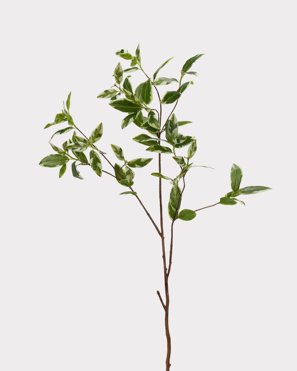 Spoon Leaf Faux Foliage - 42"
