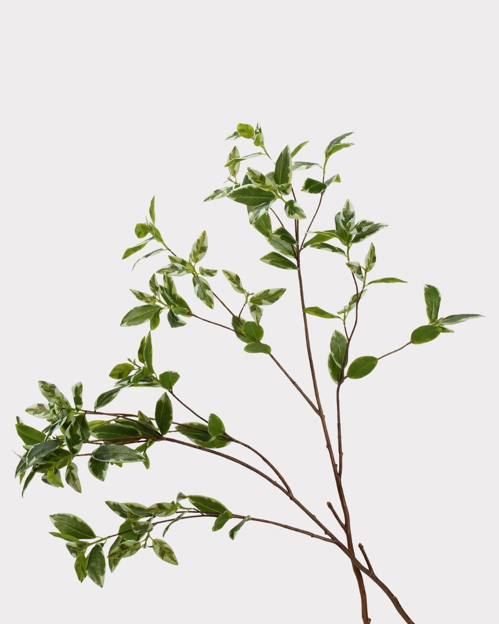 Spoon Leaf Faux Foliage - 42"