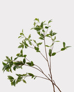 Spoon Leaf Faux Foliage - 42"