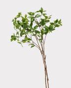 Spoon Leaf Faux Foliage - 42"