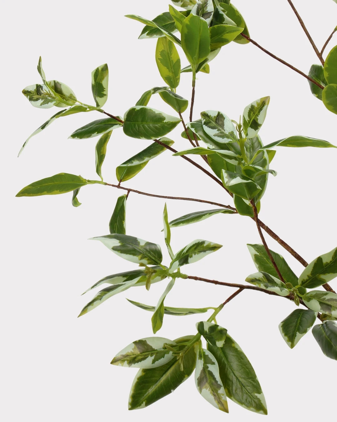 Spoon Leaf Faux Foliage - 42"