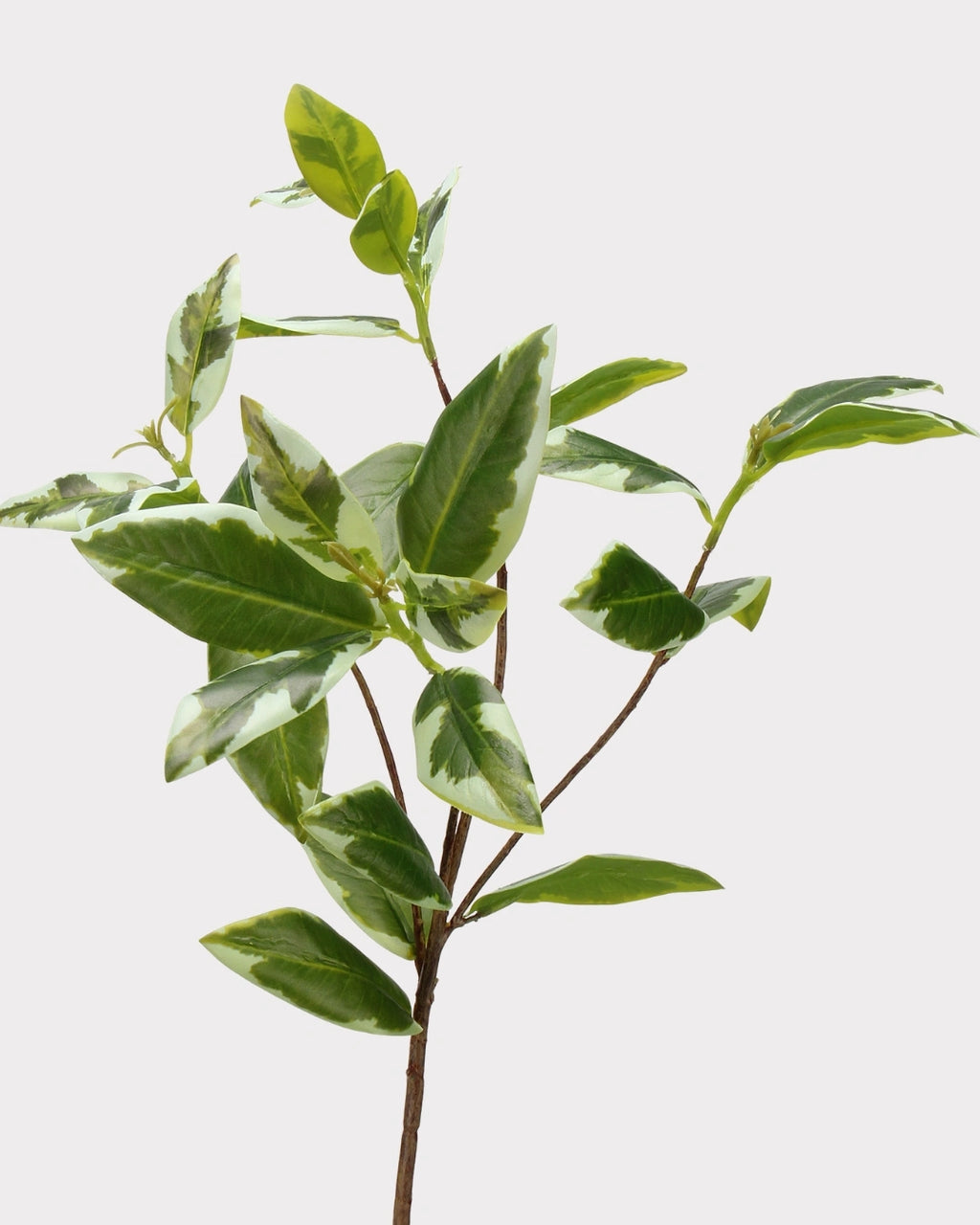 Spoon Leaf Faux Foliage - 42"