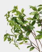 Spoon Leaf Faux Foliage - 42"