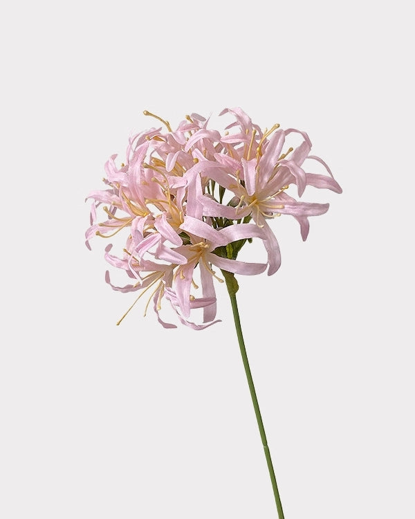 Star Moon Artificial Agapanthus 31"