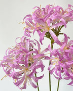 Star Moon Artificial Agapanthus 31"