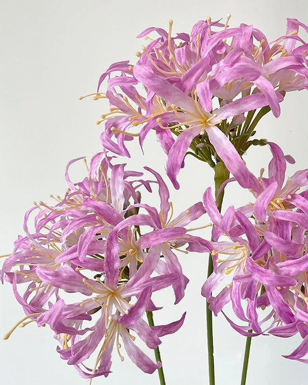 Star Moon Artificial Agapanthus 31"