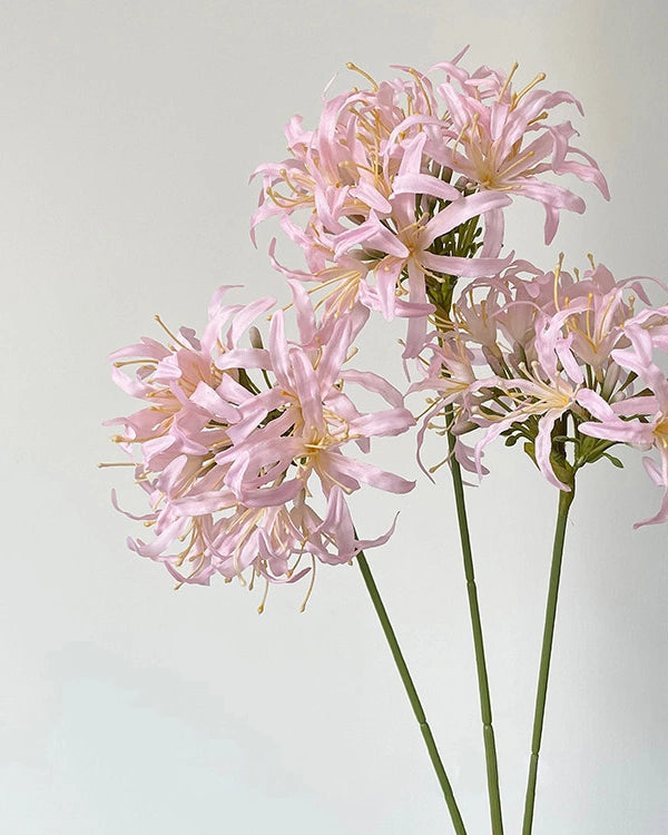 Star Moon Artificial Agapanthus 31"