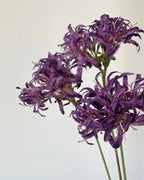 Star Moon Artificial Agapanthus 31"