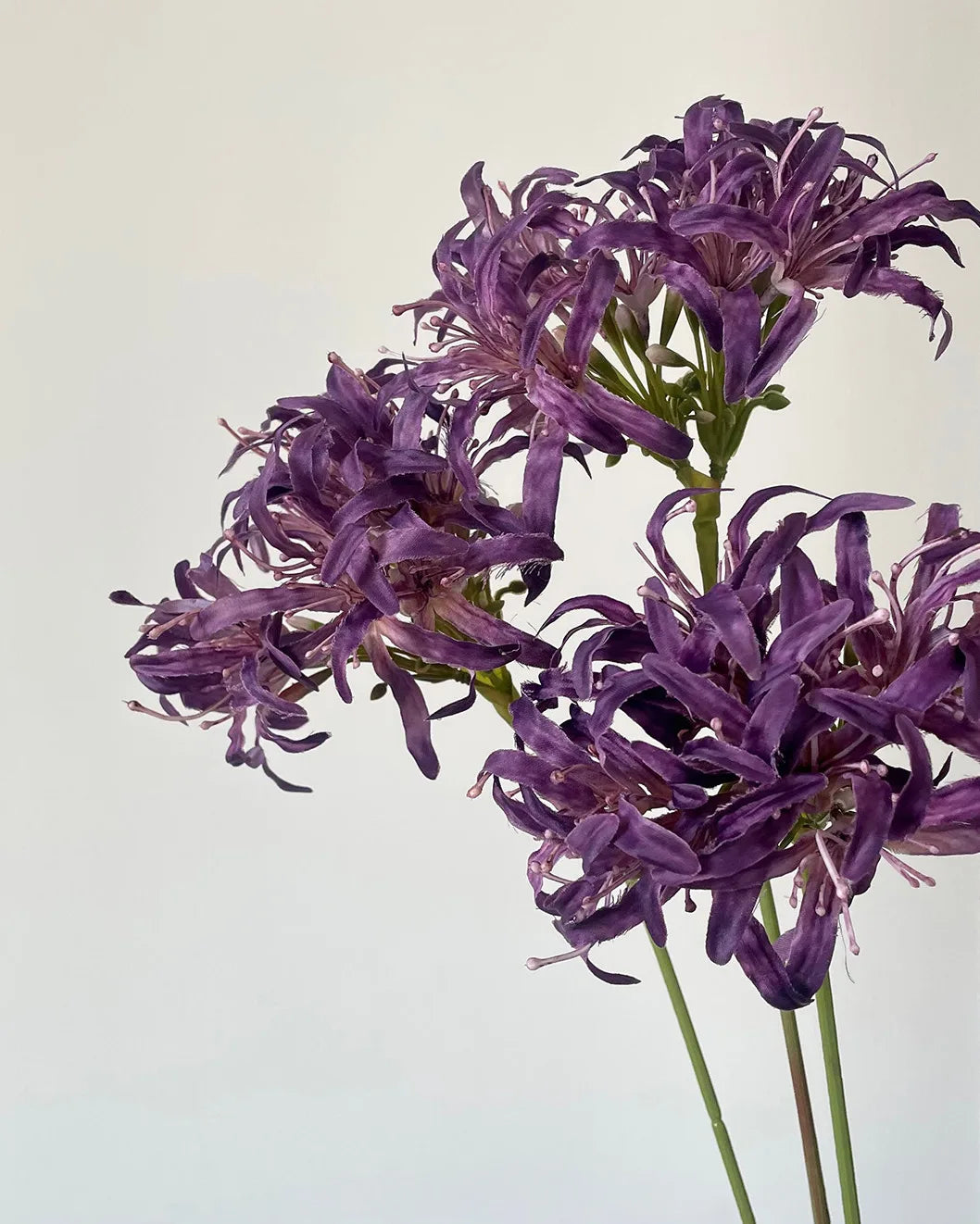 Star Moon Artificial Agapanthus 31"