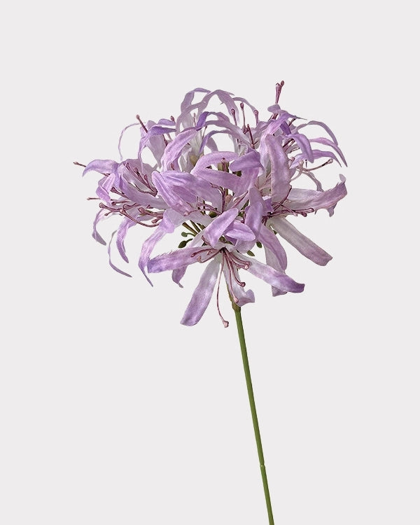 Star Moon Artificial Agapanthus 31"