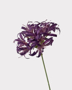 Star Moon Artificial Agapanthus 31"