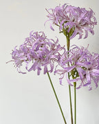 Star Moon Artificial Agapanthus 31"