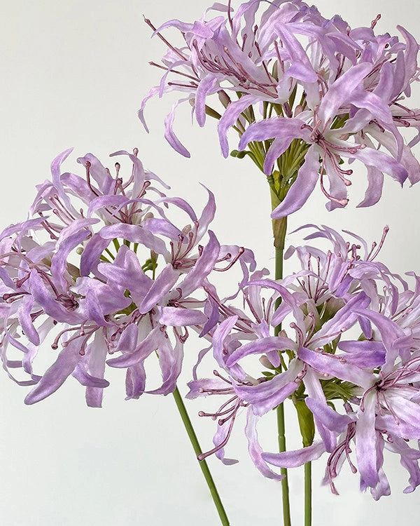 Star Moon Artificial Agapanthus 31"