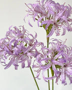 Star Moon Artificial Agapanthus 31"