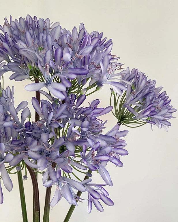 Tall Artificial Agapanthus Stem 25"
