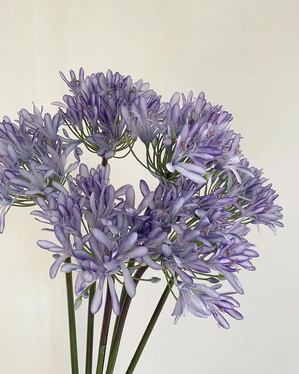 Tall Artificial Agapanthus Stem 25"