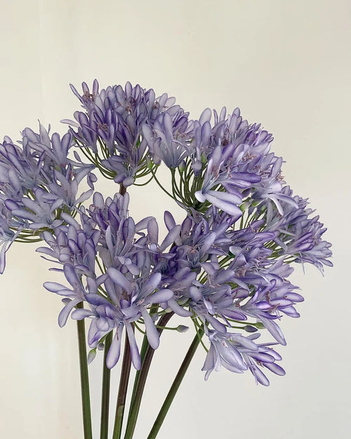 Tall Artificial Agapanthus Stem 25"