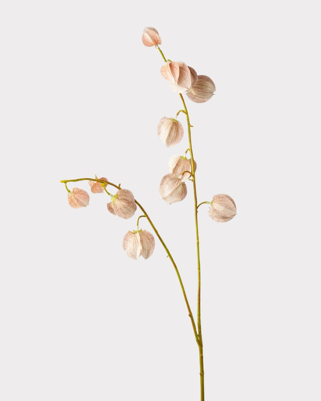 Trailing Faux Lantern Berry Stem - 35.4"