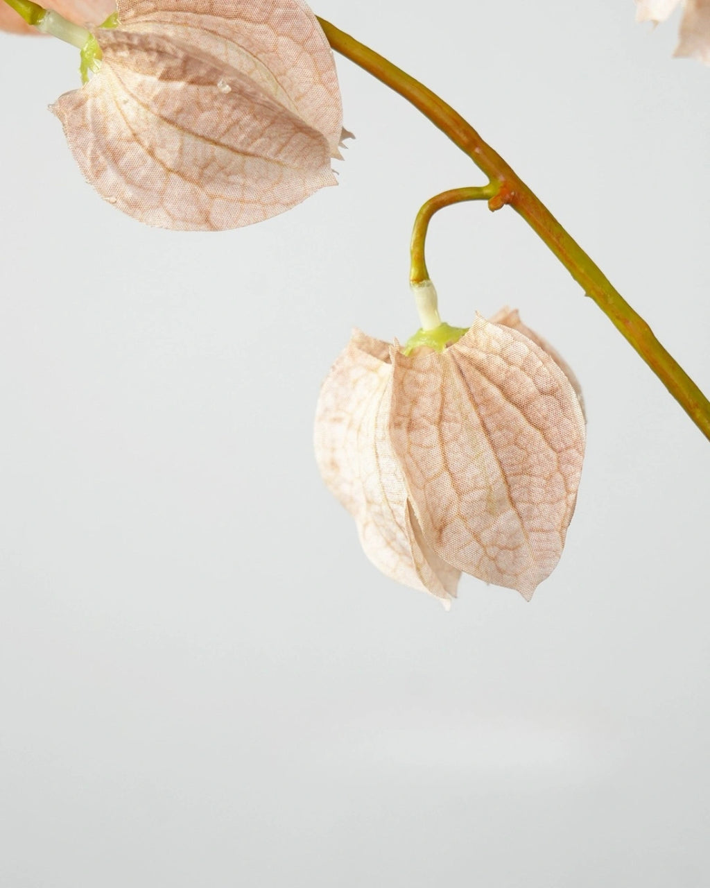Trailing Faux Lantern Berry Stem - 35.4"
