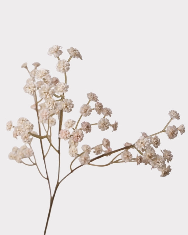 Vintage Baby's Breath Faux Flower - 24"