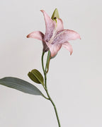 Vintage Tone Artificial Lily 2 Stems 19"