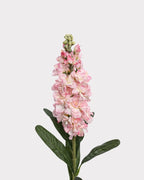 Violet Faux Flower in Pink - 31"