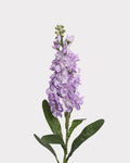 Violet Faux Flower in Purple - 31"