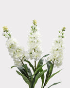 Violet Faux Flower in White - 31"