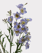 Wild Delphinium Faux Flower in Purple - 29.5"