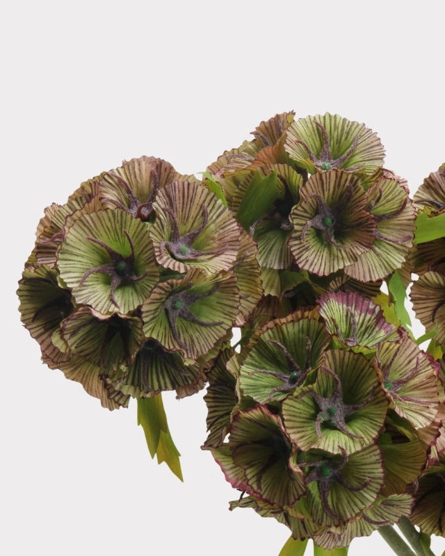 Windmill Fruit Faux Stem in Brown