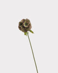 Windmill Fruit Faux Stem in Brown