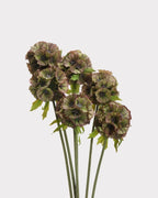 Windmill Fruit Faux Stem in Brown