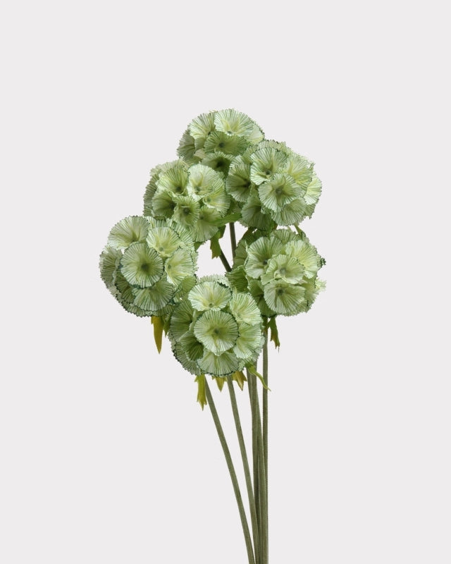 Windmill Fruit Faux Stem in Green