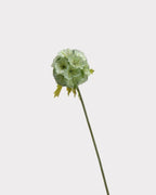 Windmill Fruit Faux Stem in Green