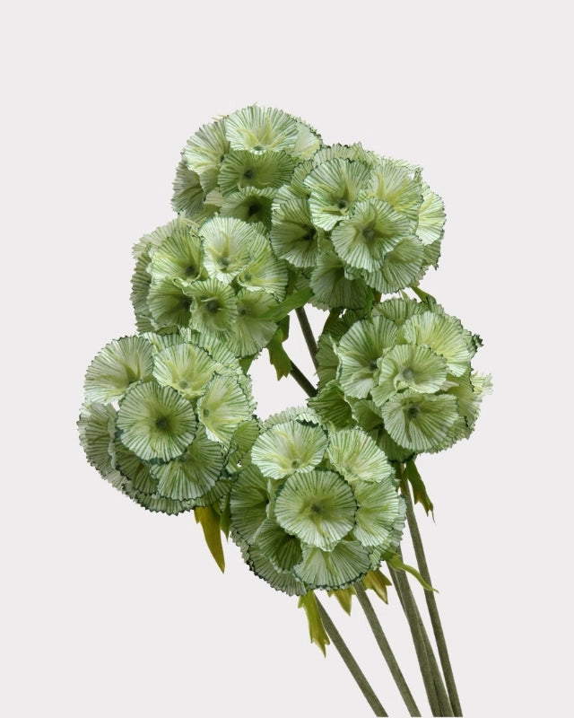 Windmill Fruit Faux Stem in Green